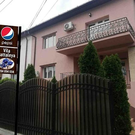 Casa Cattleya Otel Târgu Jiu Dış mekan fotoğraf