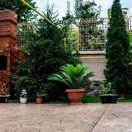 Casa Cattleya Otel Târgu Jiu Dış mekan fotoğraf