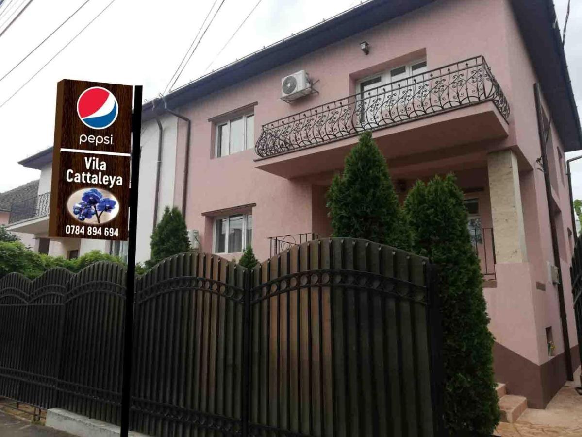 Casa Cattleya Otel Târgu Jiu Dış mekan fotoğraf